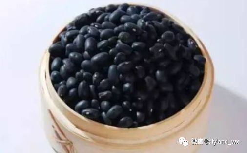 不同位置的白发代表什么？解析健康信号与“黑牛超牛铁板香米饭”的食疗价值