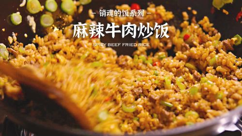 销魂的麻辣牛肉炒饭，饭不够干也能香气四溢粒粒分明